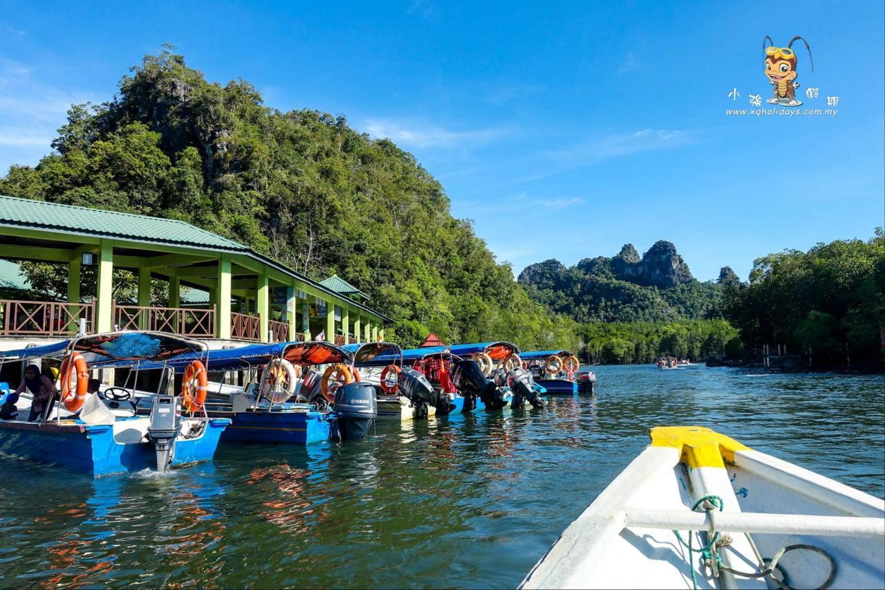 Jelajahi Keajaiban Mangrove Tour Langkawi: Ekosistem yang Menakjubkan